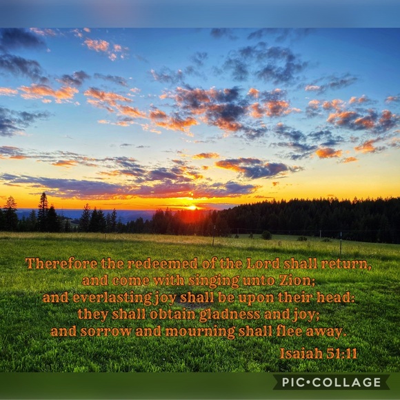 Meet your Posher, Rebecca Ball ❣️ - Picture 3 of 13